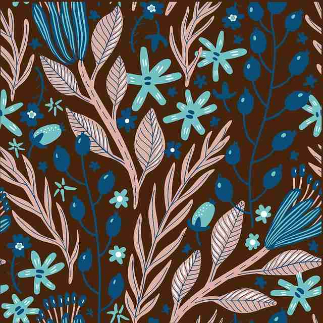 蘑菇视频：极限挑战福利汇总终极揭秘