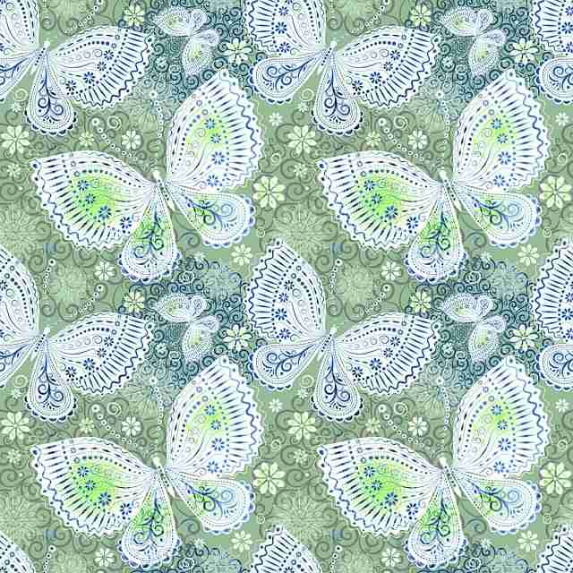 技术流探花视频（云端加速）玩法全解