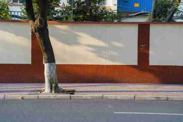 探花：深度合作幕后花絮值得收藏