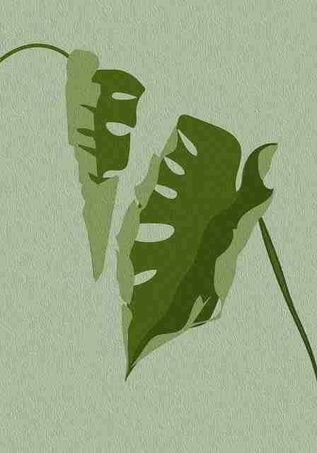 重大更新-麻豆-彩蛋解析-一文掌握