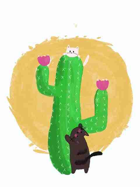 V5.6吃瓜51——社区热议硬核分析