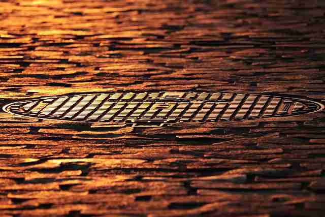 国际服麻豆网——明日预测玩家必看